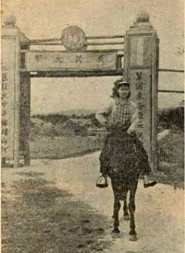 學校大門。翻攝自覃怡輝著《金三角國軍血淚史》