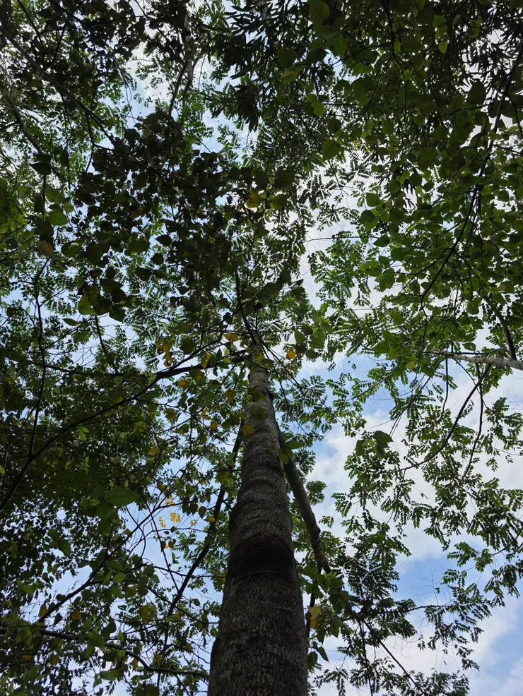 福山蝴蝶公園踏青