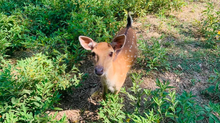 這個眼神怎麼可能不停下來。