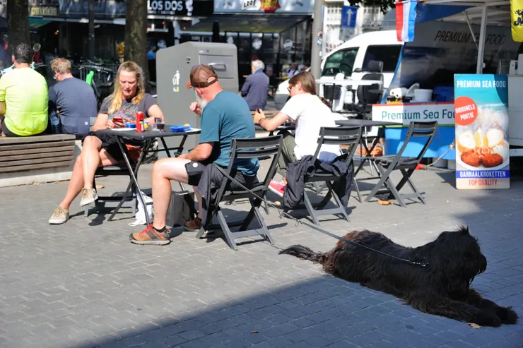 【梅爾街新古典歌德巴洛克建築風 徜徉購物舒爽甚街頭表演看不完！這隻狗有意思，主人愛曬太陽請便，我一邊納涼去。】