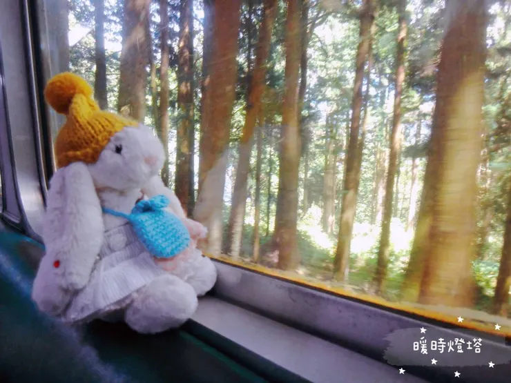 巧巧於移動的森林小火車上