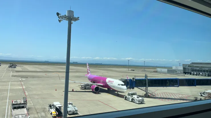 粉紅色的樂桃很醒目。