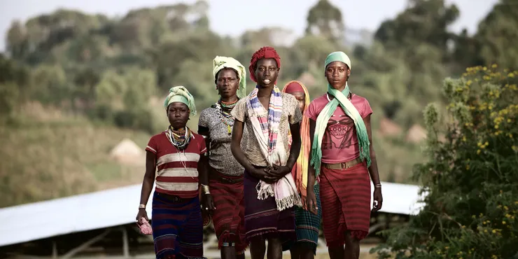 哈露貝利堤村  紅櫻桃計畫