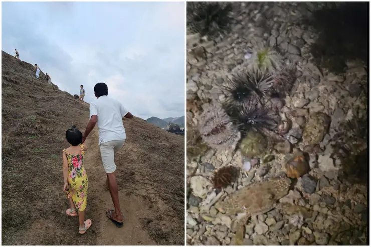 左:Novetel resort lombok的日落健行,有專人帶我們去 / 右:潮間帶尋寶