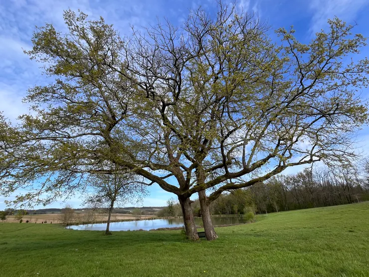 在法國南邊的一個湖畔旁，我呆坐了一個下午，恍然間，忘記了自己。
