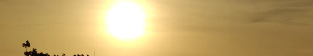 冰心的秘密花園