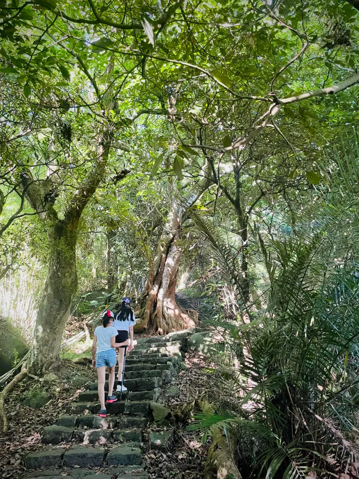 500公尺石階步道皆在林蔭之下