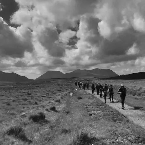 Photo by David Whyte