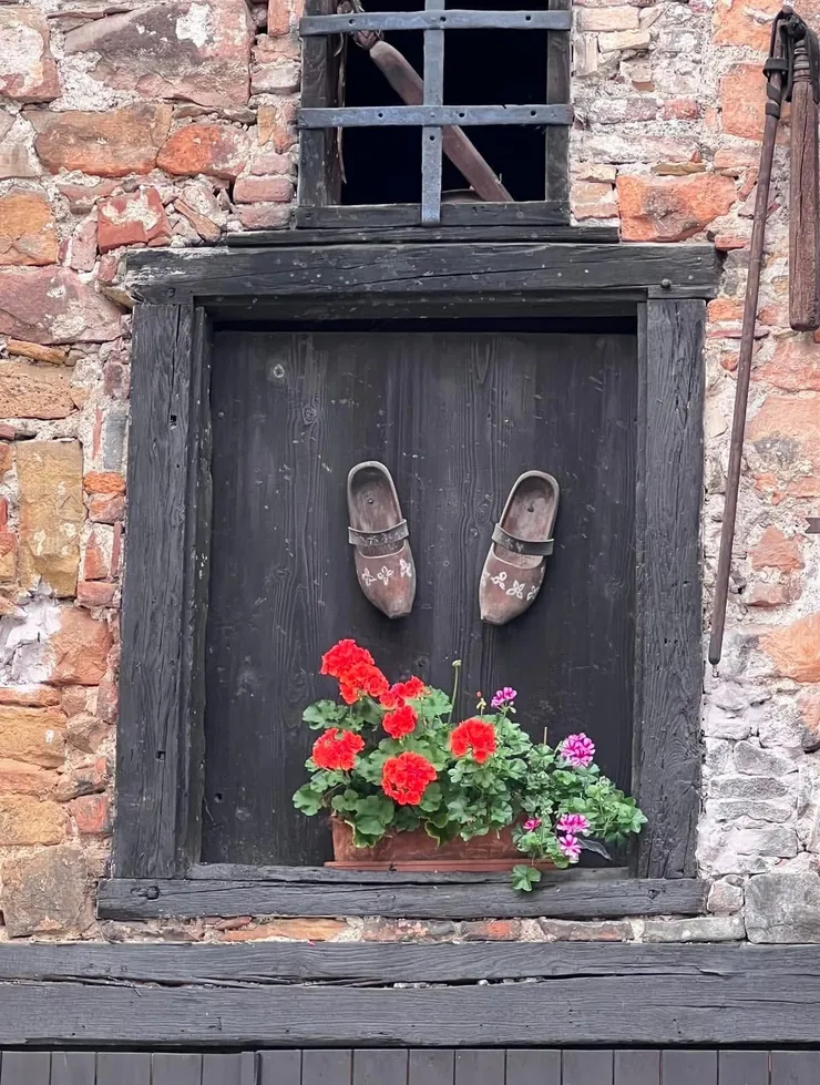 這屋主太有才了