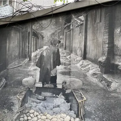 快雪時晴的一頁