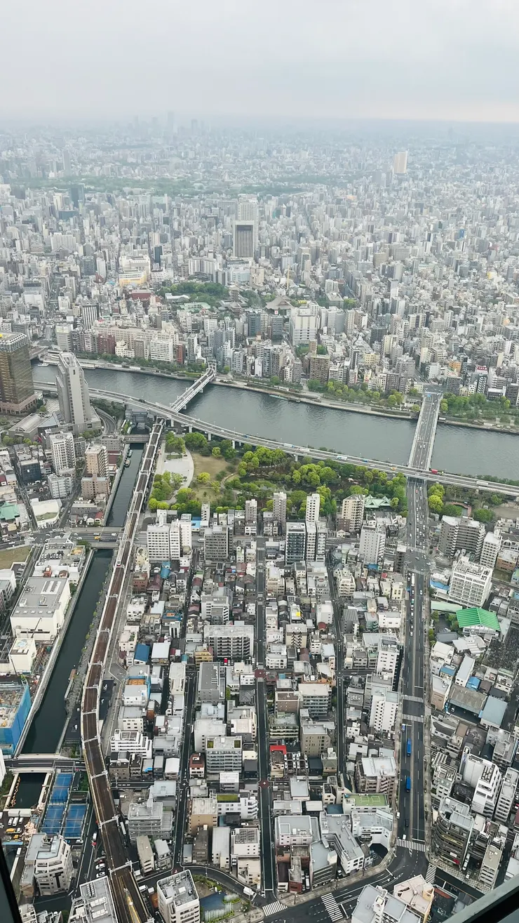 廟宇建築在「大樓海」中，格外顯眼。