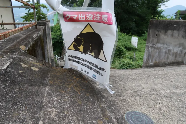 在沼田市區已經熊出沒注意了。
