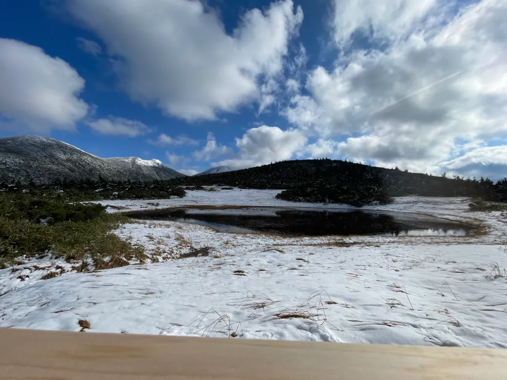 無名投資實驗室