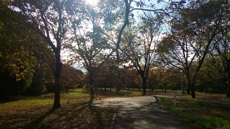 曾經是我心中的奇幻心靈花園，現在已經被剷除蓋醫院了，幸好有留下照片~