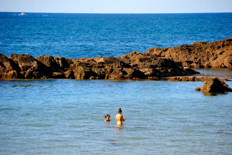 【沿沙灘遊人戲水遛狗散步閒坐！】