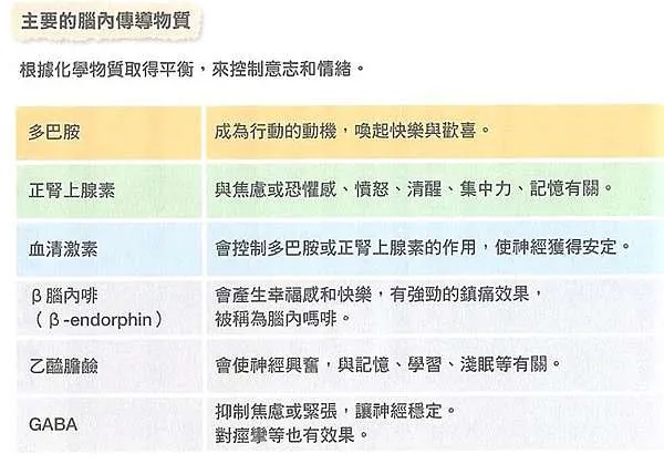 神經傳導物質的比較