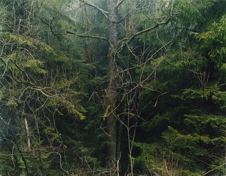 Éric Poitevin "Untitled"