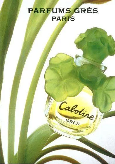 從小我就覺得清秀佳人小瓶的造型比大瓶的好看