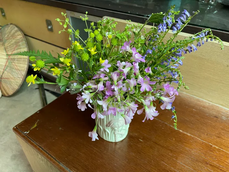 去年春天,心血來潮插的一瓶野草花