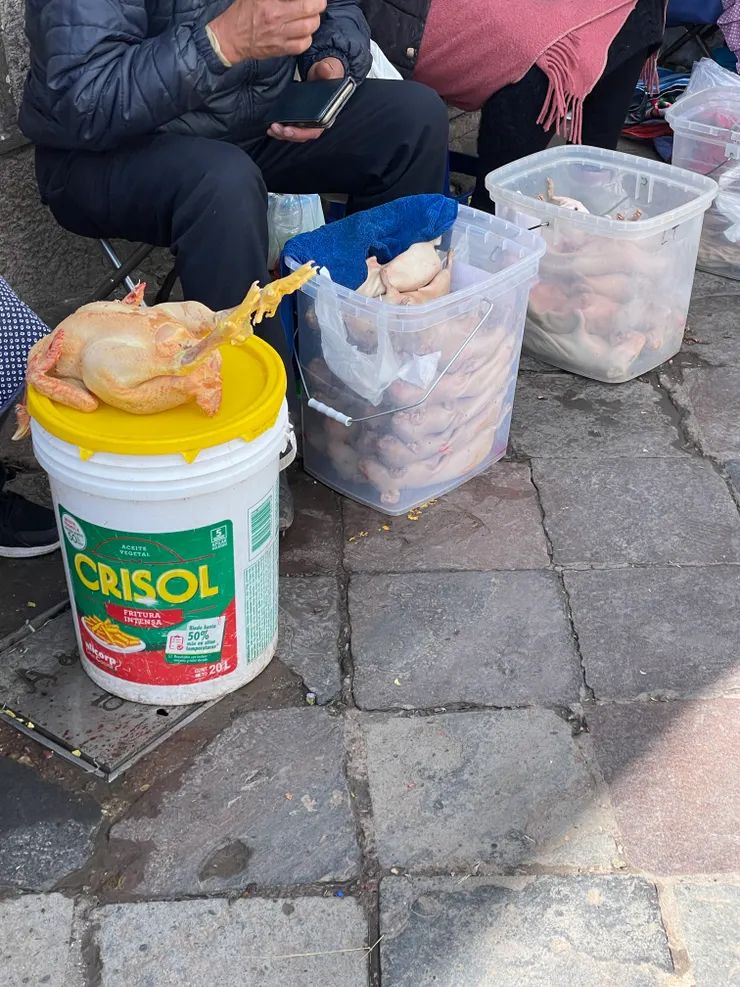 去傳統市場,可以看到殺好的guinea pig⋯右邊那兩桶都是