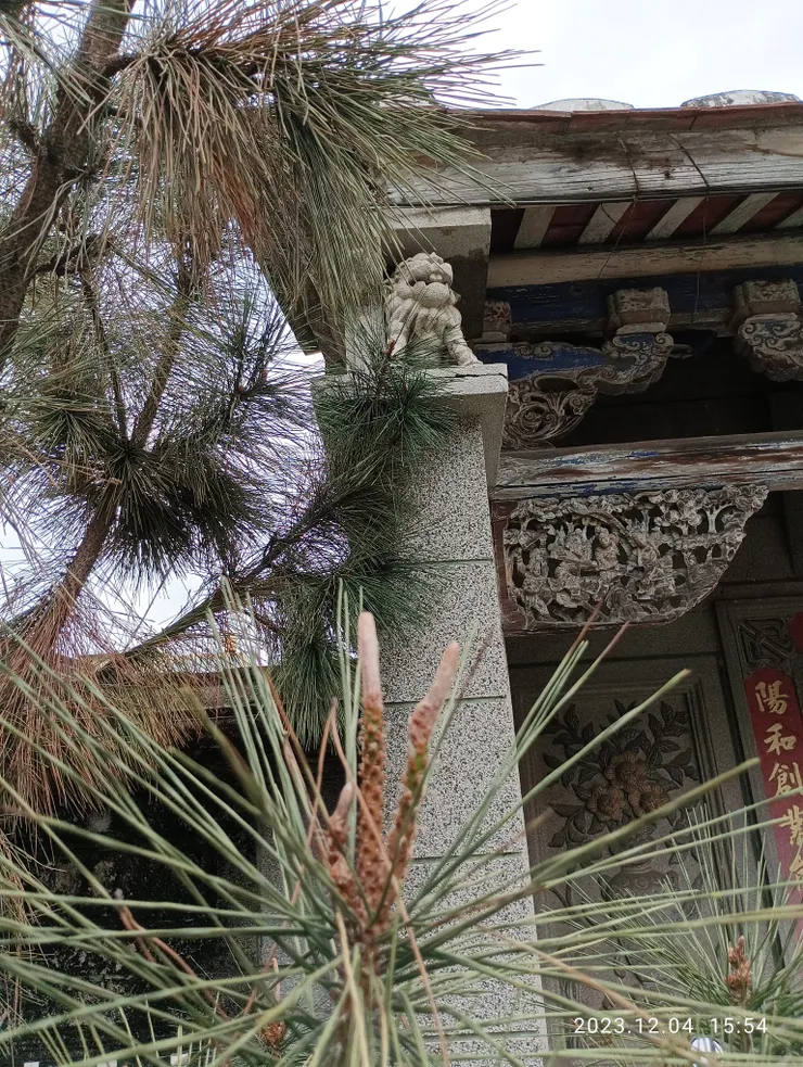 二葉松及排樓局部