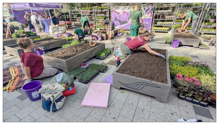 最後發現其實是在辦園藝比賽, 參賽者有一塊地可以裝飾