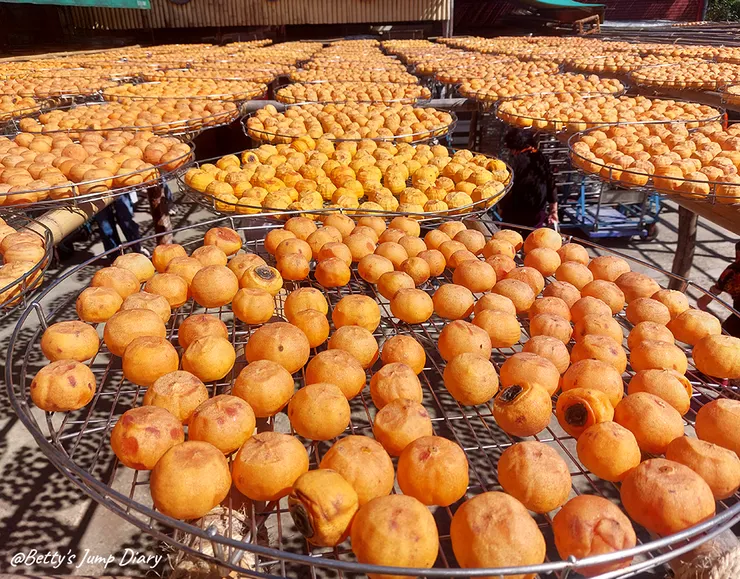 ▲味衛佳柿餅教育農園/ 圖片來源：Betty's Jump Diary