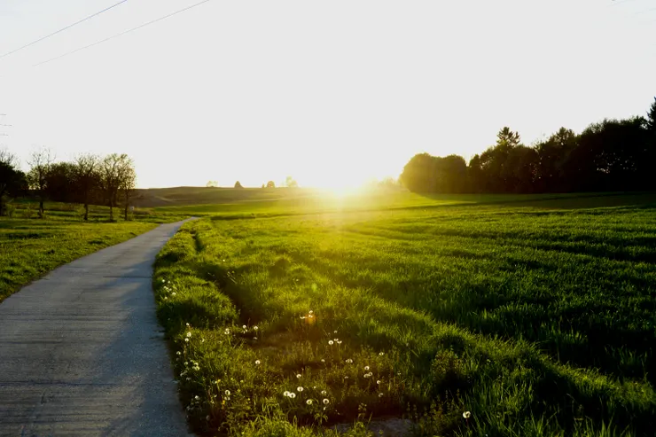 Photo by Aaron Büttner on Unsplash