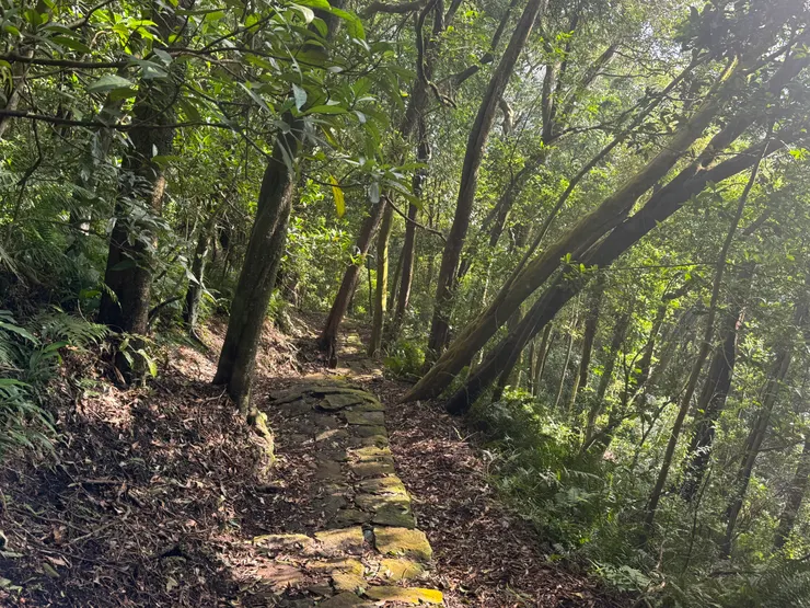 紗帽山步道