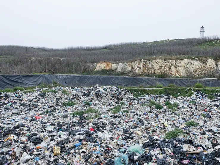 《島上的大象》電影劇照／新北天際影展 提供