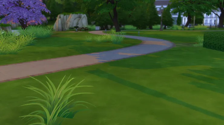 房子外面的景物。這條路不知通到哪裏。