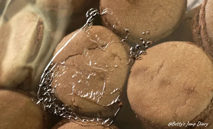 ▲小熊菓子：芙菲小圓餅/圖片來源：Betty's Jump Diary