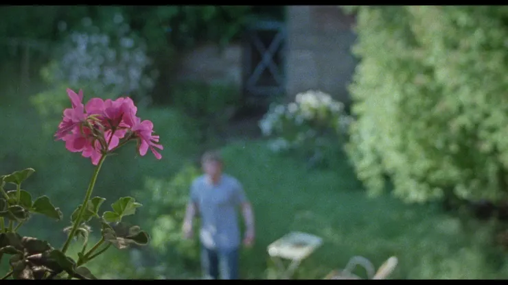 《你是不會當樹嗎》電影劇照／劇照提供：海鵬影業