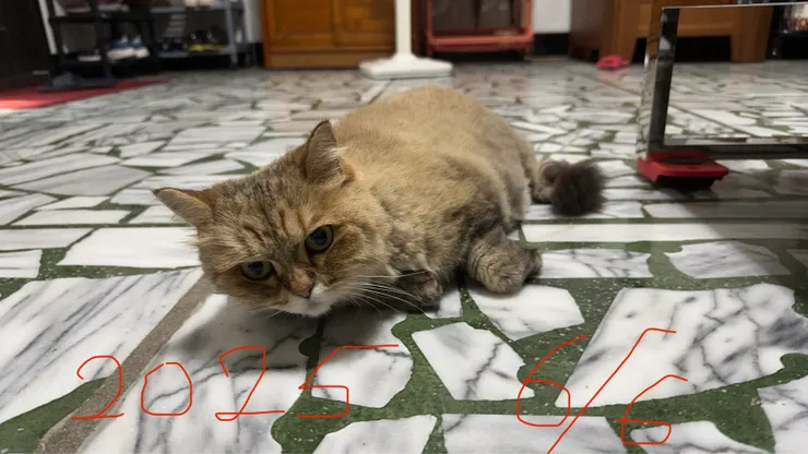 媽媽拍攝於 2025/6/6