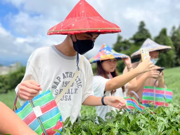「有事來找茶」團隊舉辦茶金文化體驗