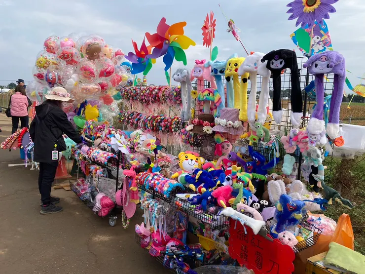 任何可能會吸引到小朋友的玩具也都有賣