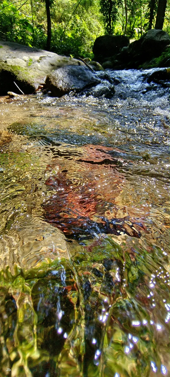 【四十二份湧泉常年水溫十八度，蓬萊賞魚聽溪聲時為鳥鳴留步。步道邊水流清澈的小河，停下來泡個腳！】