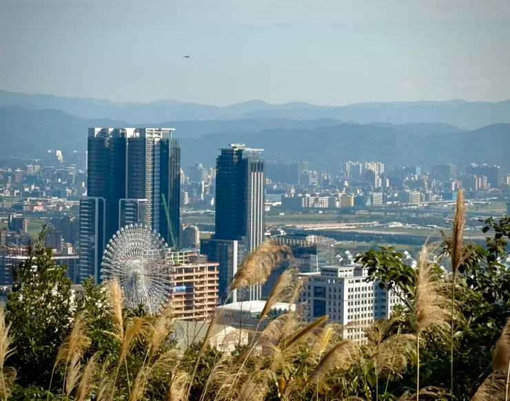 南側視野：大直夜景與松機場