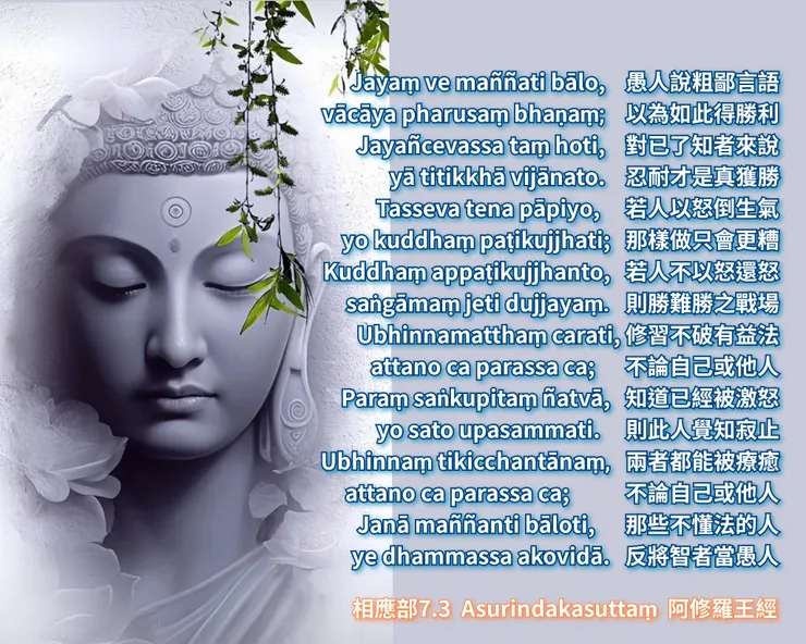 佛陀法語 | 無瞋