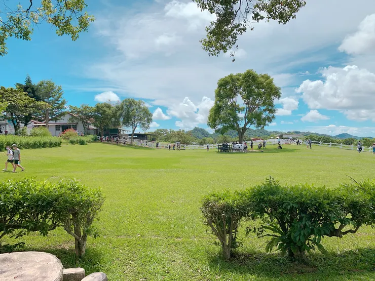 覺得很累的時，就是該往大自然的時候了