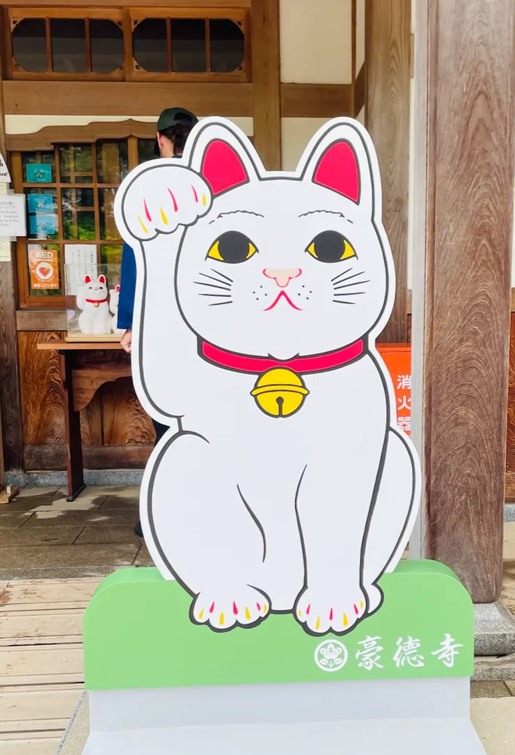豪德寺內只會見到右手上擧、手中沒有拿小金幣的白色小貓，意指招來『良緣與幸福』，而非單純財富。。