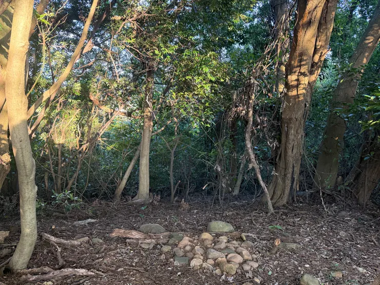 2025/12/07 上山看圓圓