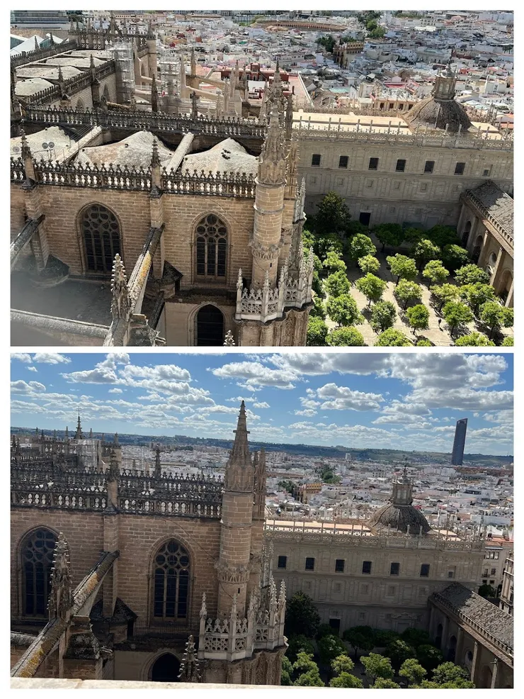 俯瞰教堂中庭和橘子園