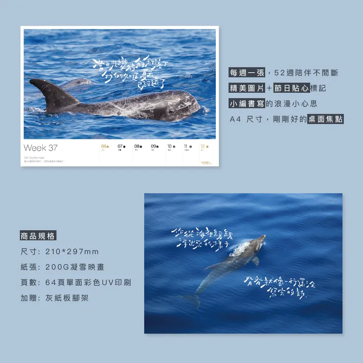 2026桌曆 週曆 多羅滿賞鯨