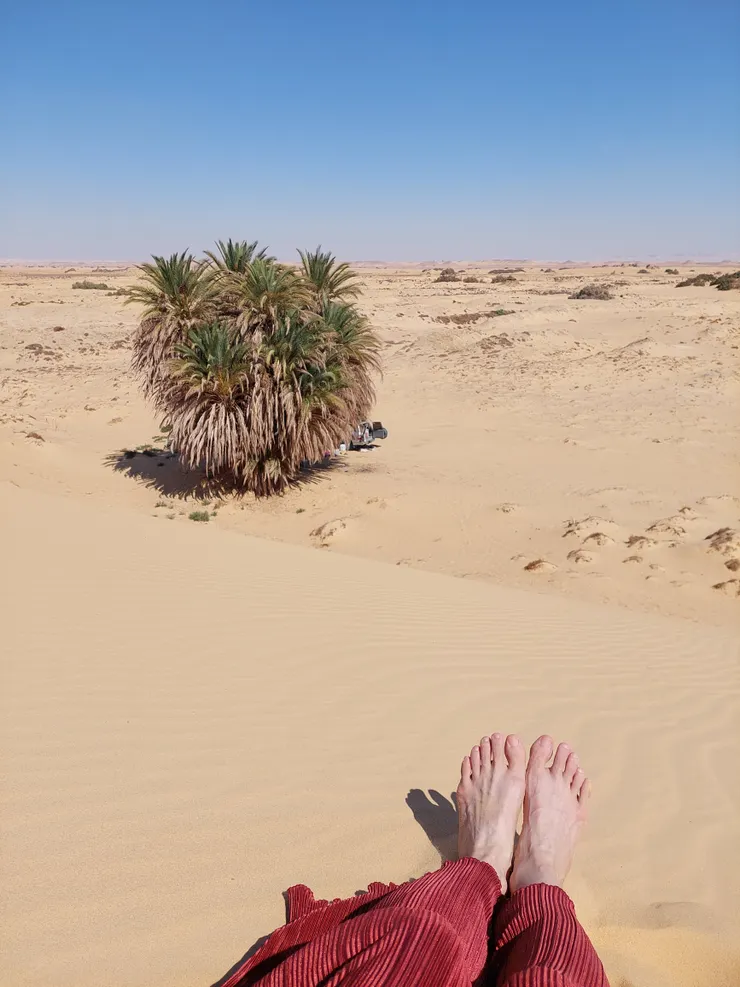 爬上沙丘俯視椰棗樹與大地，等待嚮導與助手大展廚藝。(椰棗樹下就是我們的臨時餐廳)