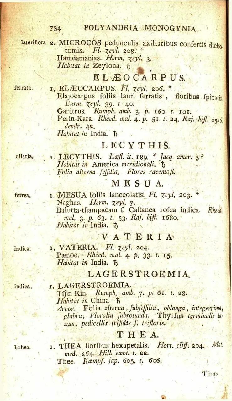 《Species Plantarum》p.734