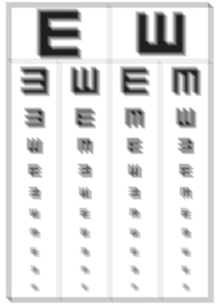 左眼看到的樣子