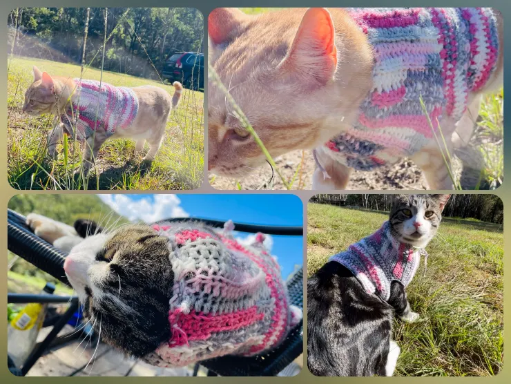 IG影片:穿毛衣Sunny