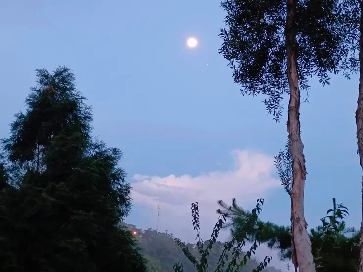 Aug. 2022 雲林古坑