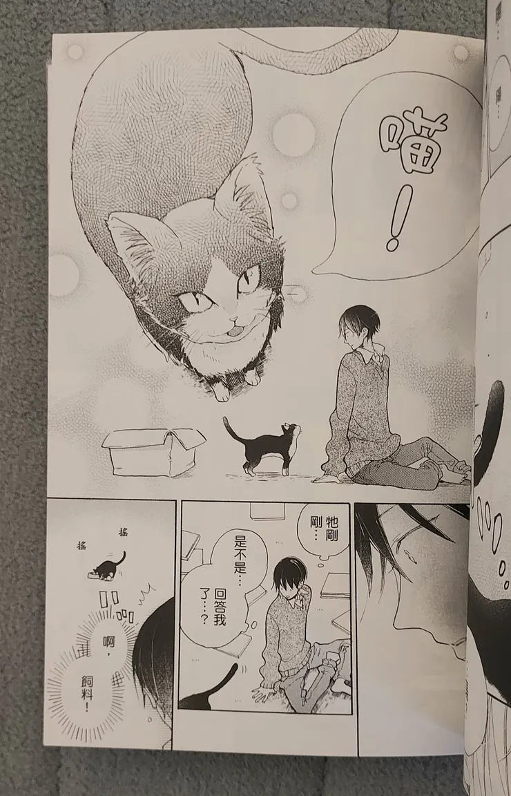 再如何孤僻的人，也無法抗拒小貓的回應